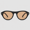 Black Frame with Brown Smoke Lenses