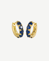 Blue-Gold