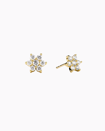 Lumina Studs