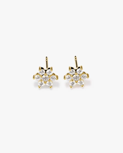 Lumina Studs